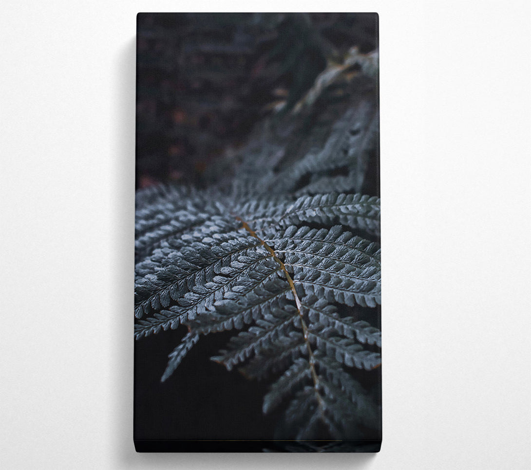  A Canvas Print of Dark Green Fern Frond Canvas Print
