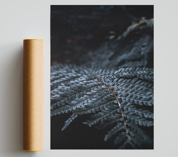 Dark Green Fern Frond Poster
