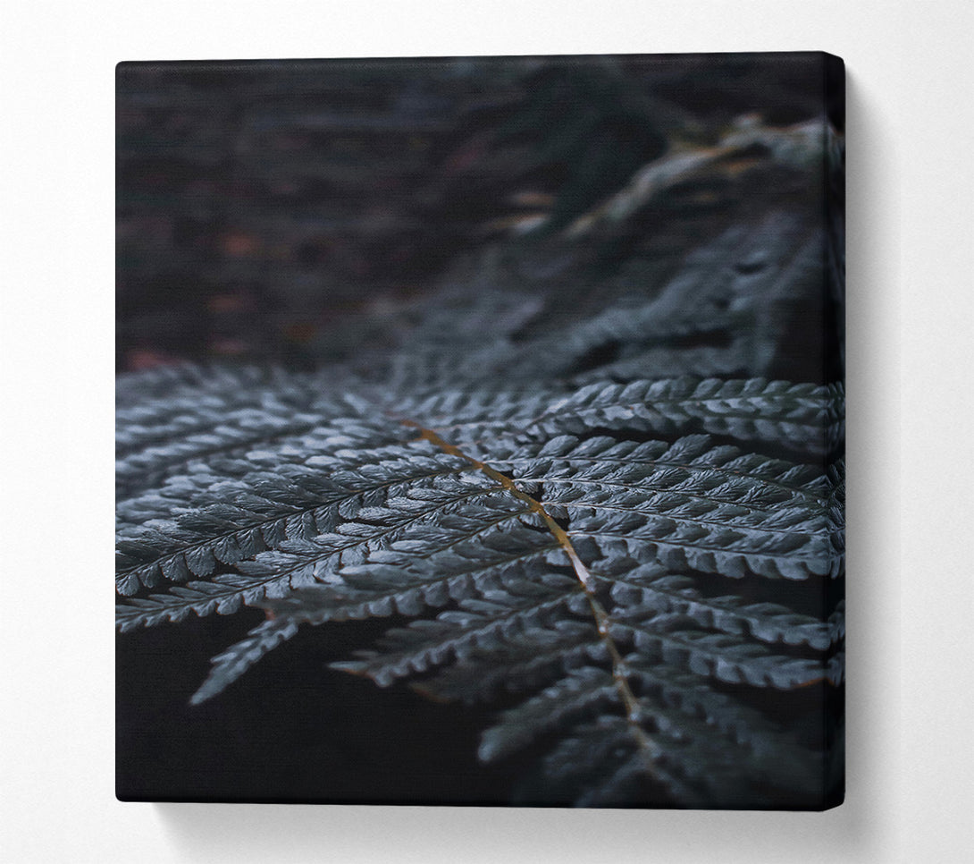  A Canvas Print of Dark Green Fern Frond Canvas Print