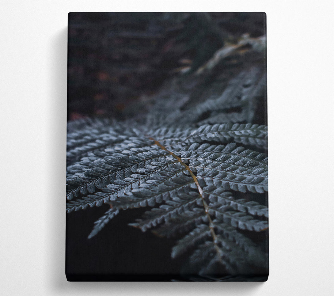  A Canvas Print of Dark Green Fern Frond Canvas Print