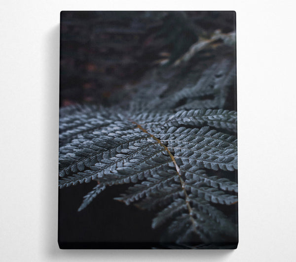 A Canvas Print of Dark Green Fern Frond Canvas Print
