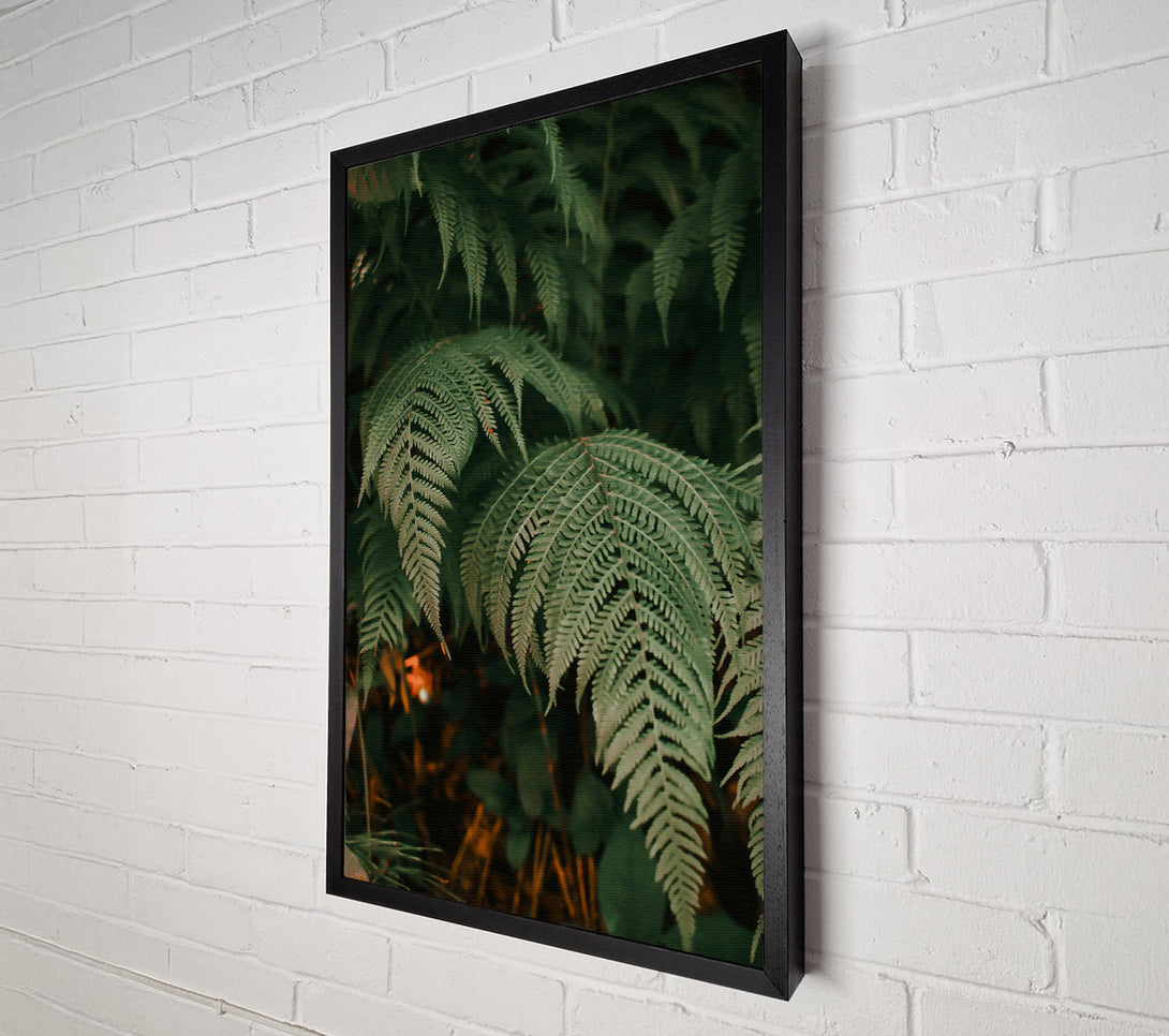  A Canvas Print of Emerald Green Ferns Canvas Wall Art