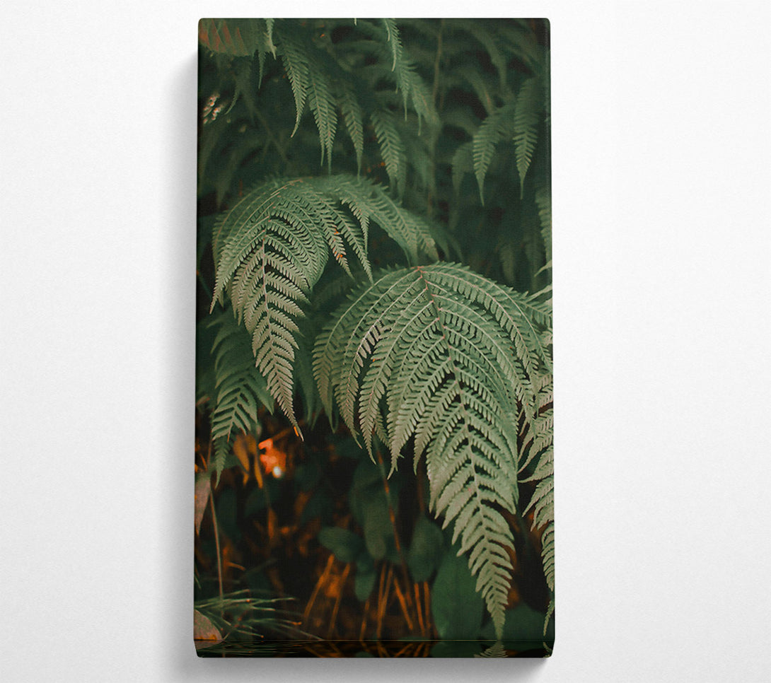  A Canvas Print of Emerald Green Ferns Canvas Wall Art