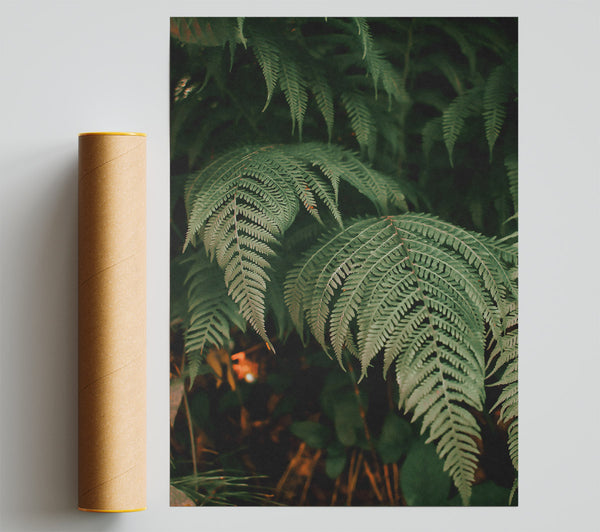 Emerald Green Ferns Print