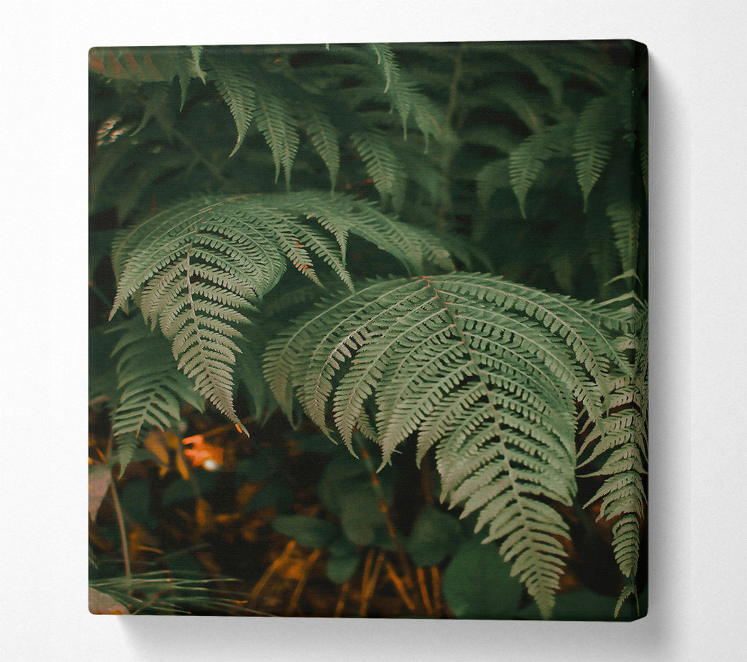  A Canvas Print of Emerald Green Ferns Canvas Wall Art
