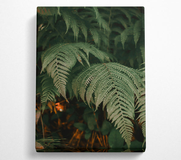  A Canvas Print of Emerald Green Ferns Canvas Wall Art