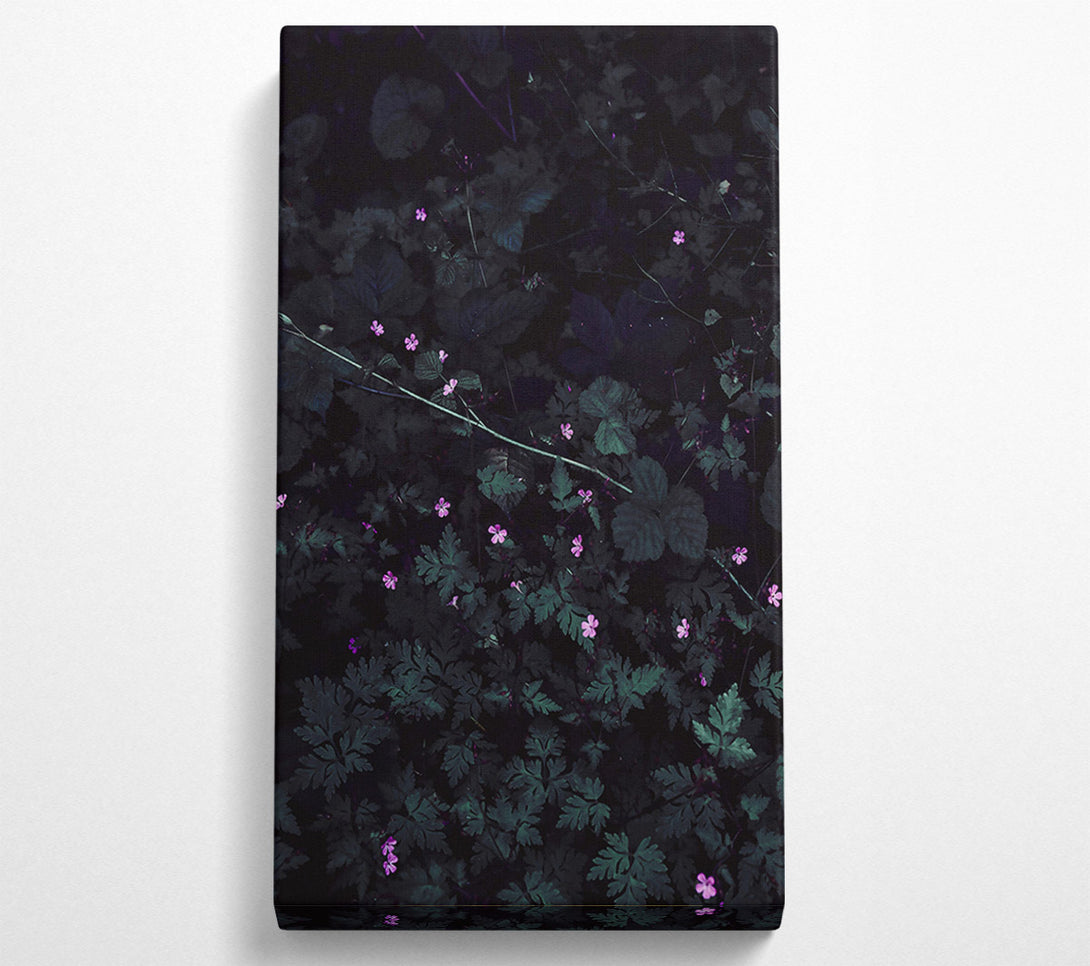  A Canvas Print of Pink Blooms In Shadow Canvas Art