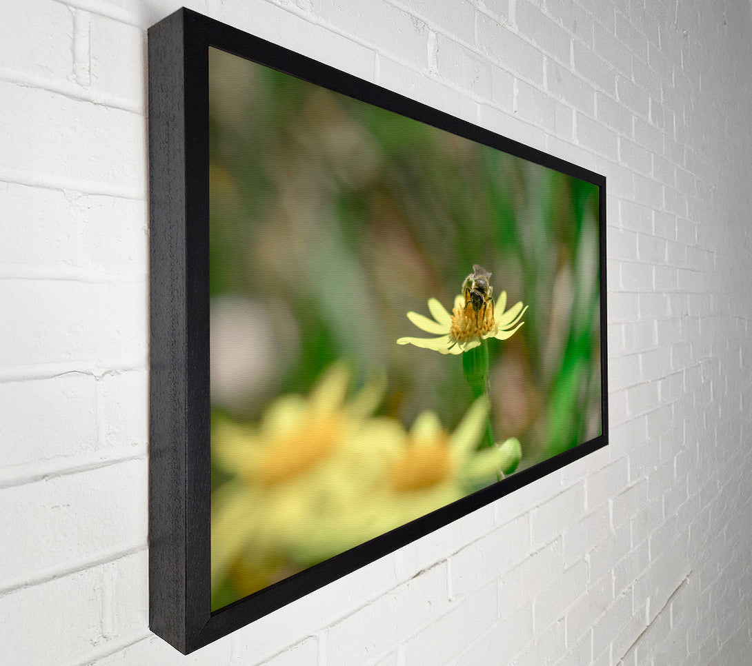  A Canvas Print of The Yellow Bee'S Visit Canvas Art