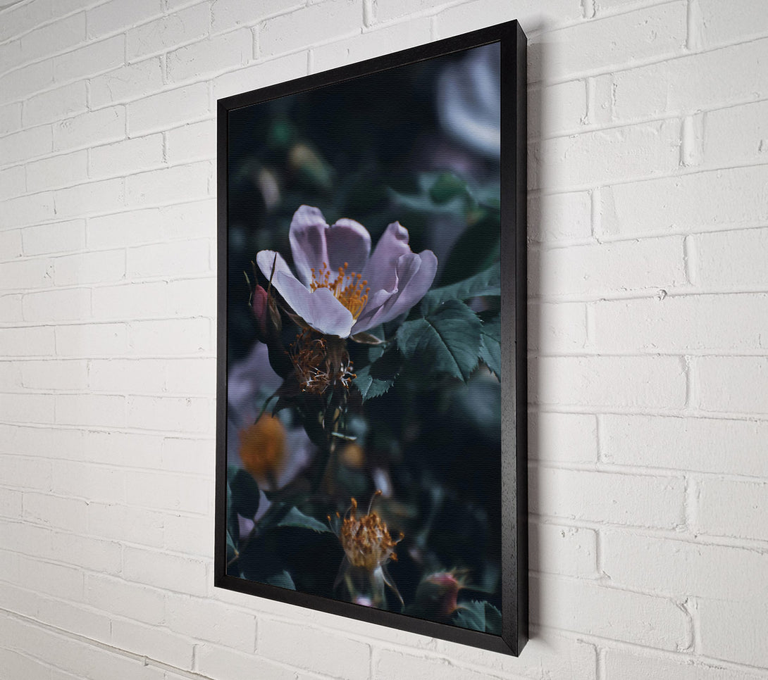  A Canvas Print of Pale Bloom In Green Canvas Art