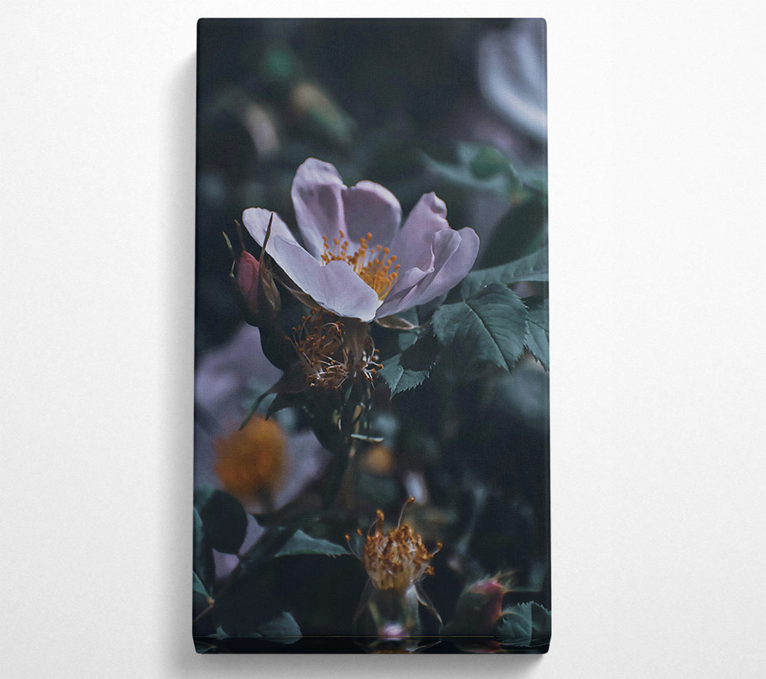  A Canvas Print of Pale Bloom In Green Canvas Art