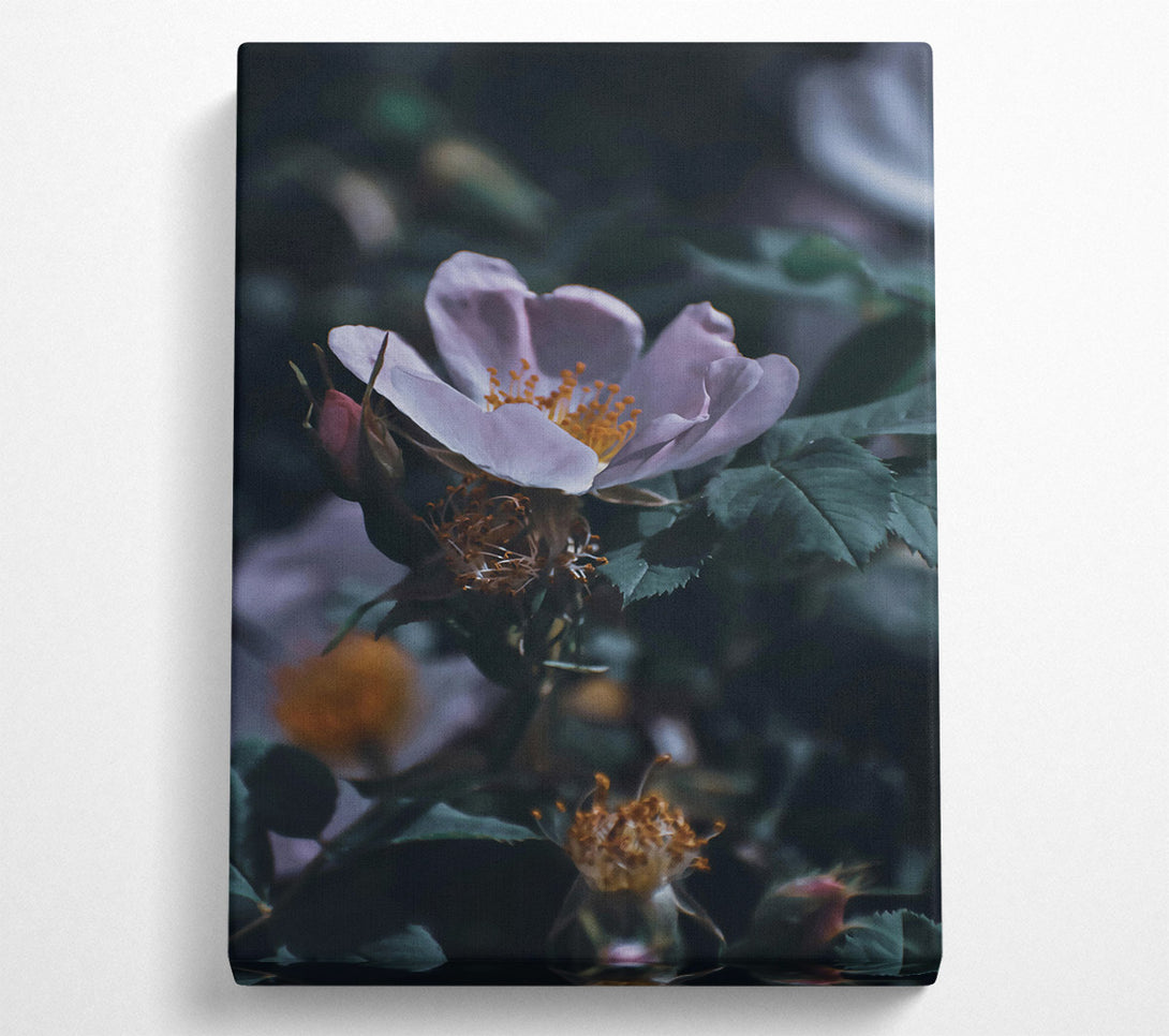  A Canvas Print of Pale Bloom In Green Canvas Art