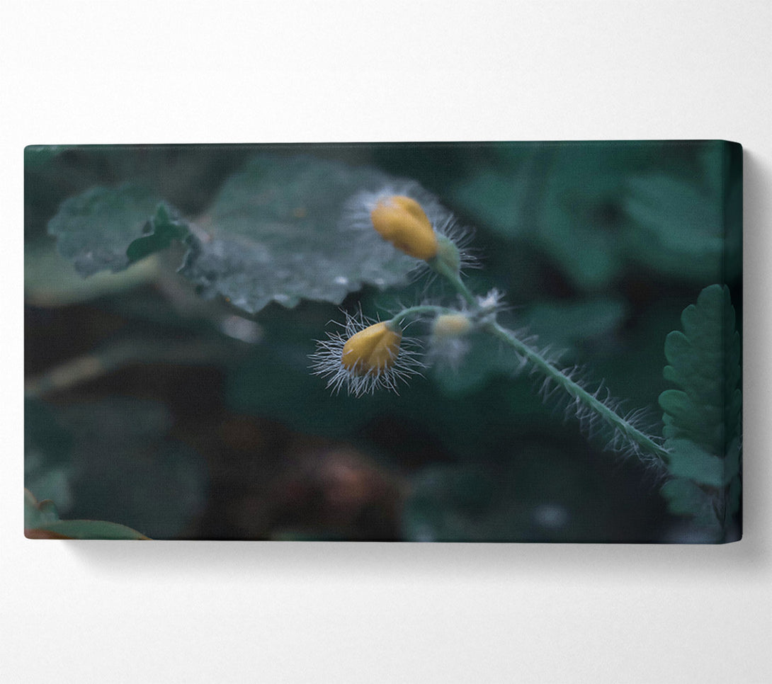 A Canvas Print of Green And Yellow Bloom Canvas Wall Art