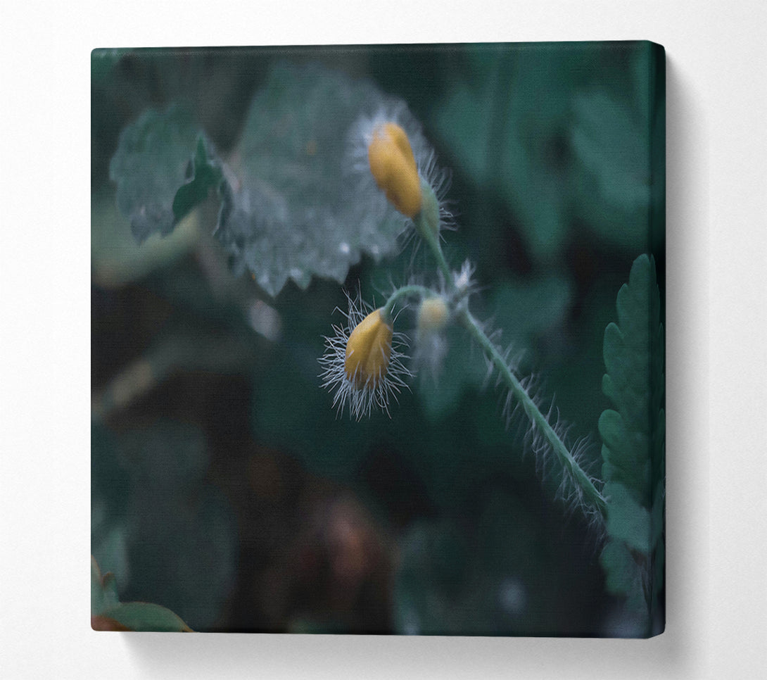  A Canvas Print of Green And Yellow Bloom Canvas Wall Art