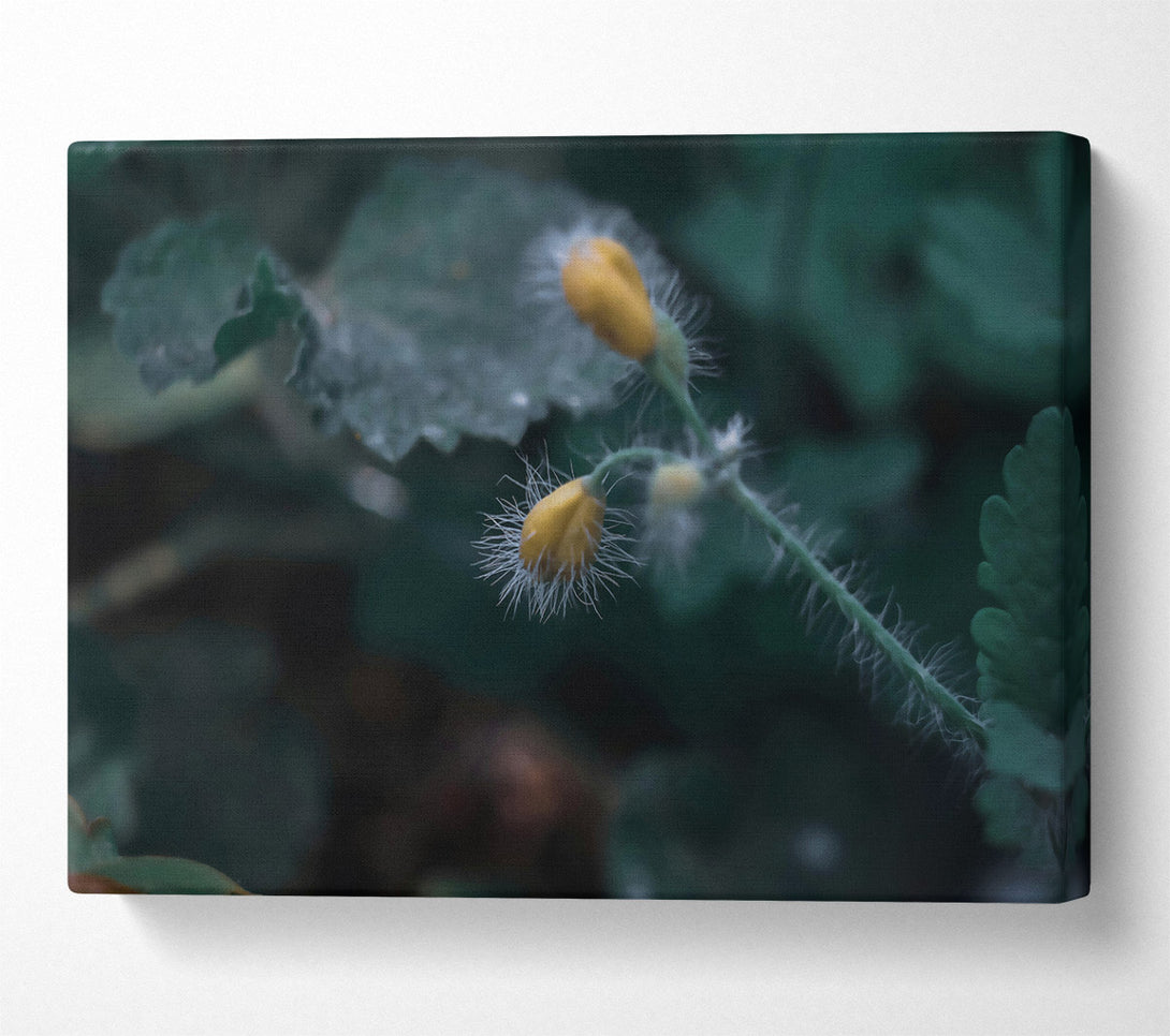  A Canvas Print of Green And Yellow Bloom Canvas Wall Art