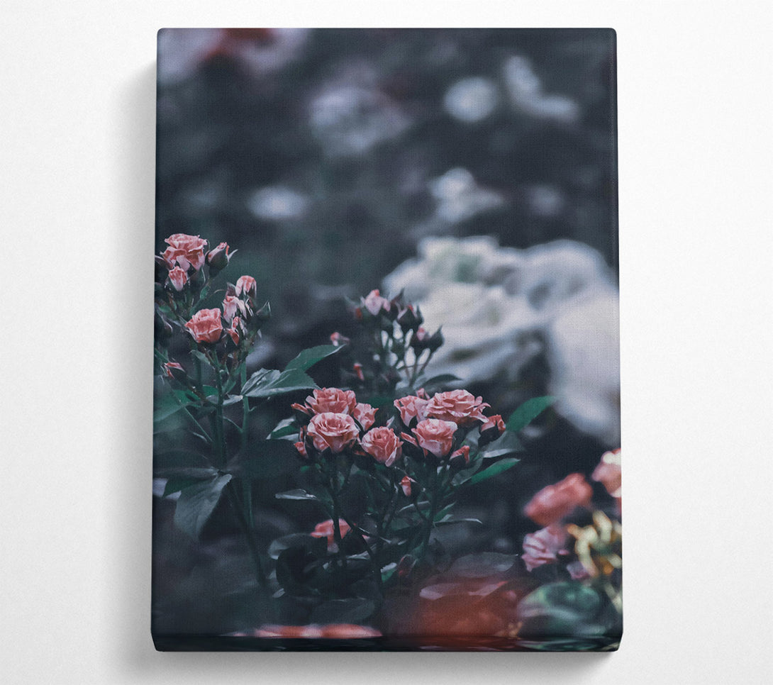  A Canvas Print of Pink Roses In Bloom Canvas Wall Art
