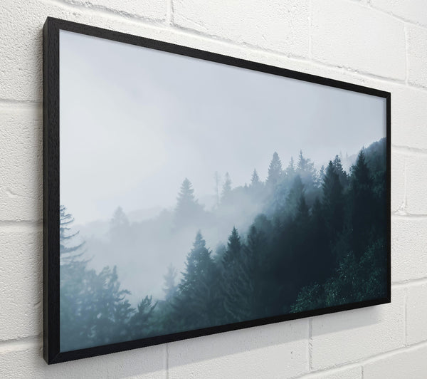 Blue Forest Mist