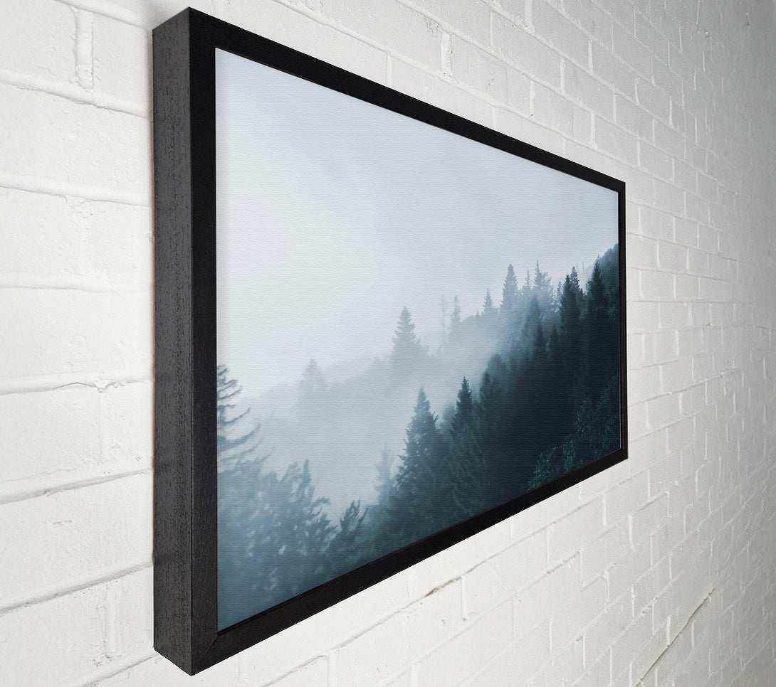 A Canvas Print of Blue Forest Mist Canvas Print