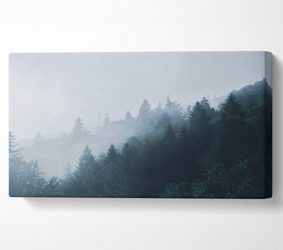  A Canvas Print of Blue Forest Mist Canvas Print