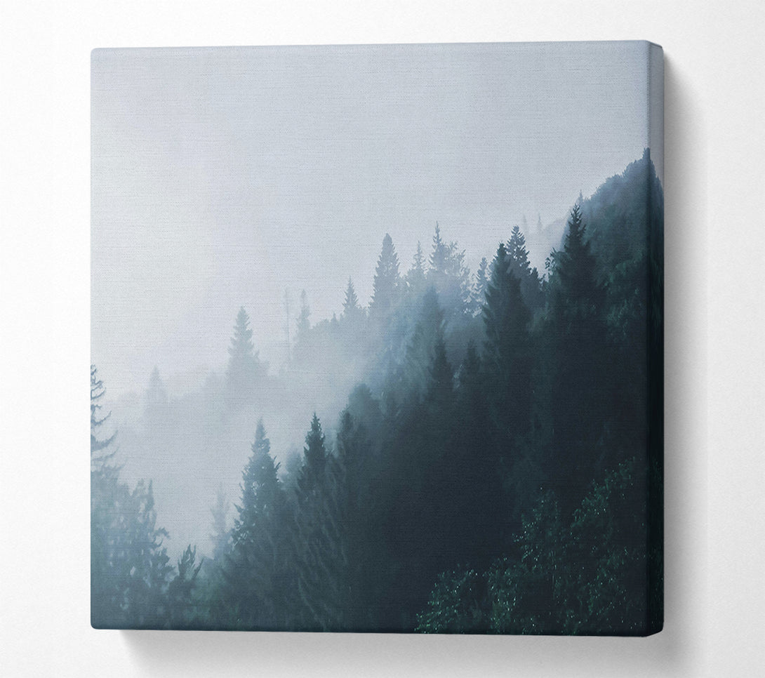  A Canvas Print of Blue Forest Mist Canvas Print