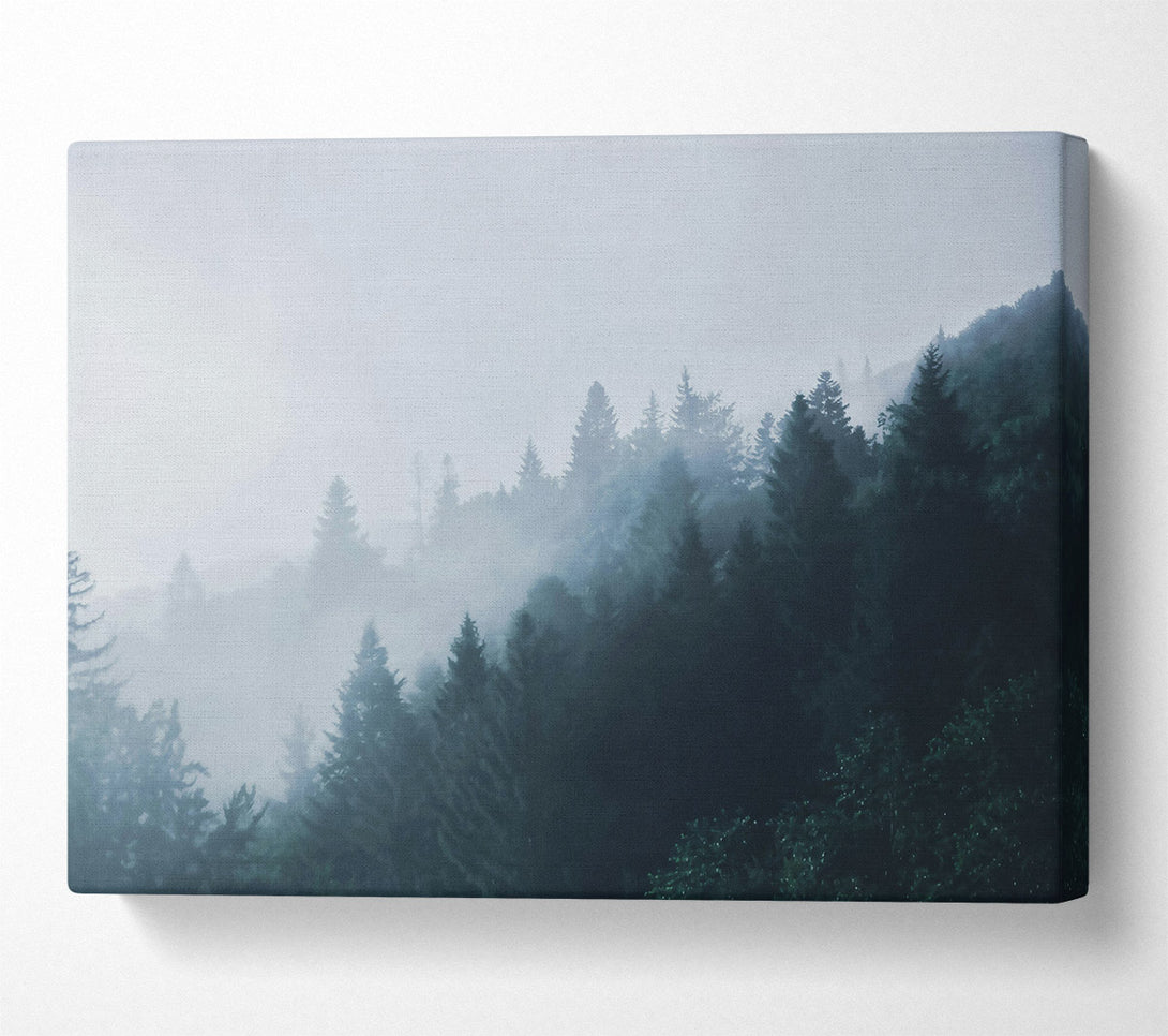  A Canvas Print of Blue Forest Mist Canvas Print
