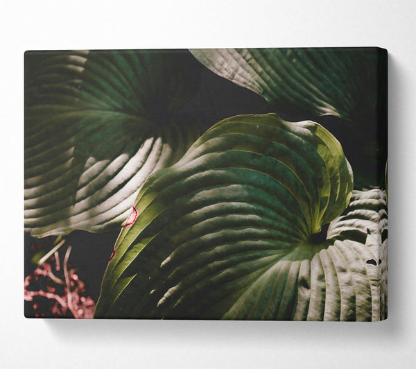  A Canvas Print of Emerald Leaf Embrace Canvas Art