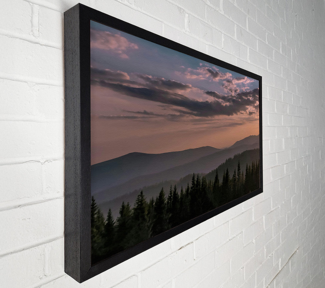  A Canvas Print of Pink Haze Over Pines Canvas Art