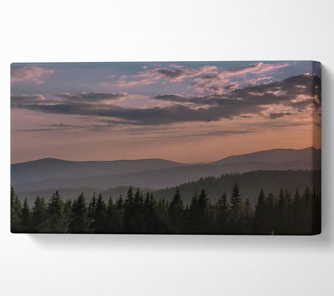  A Canvas Print of Pink Haze Over Pines Canvas Art