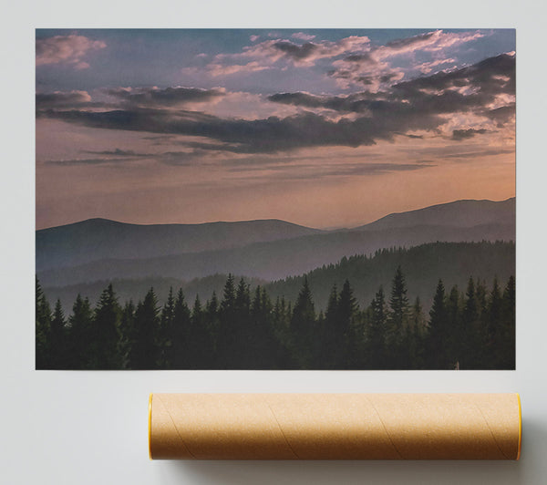 Pink Haze Over Pines Giclee Print