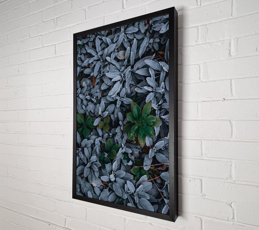  A Canvas Print of Silver & Green Foliage Canvas Wall Art