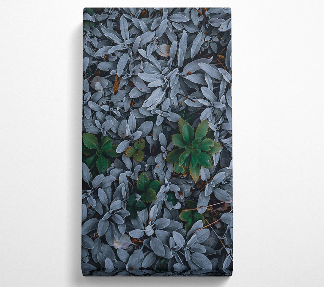  A Canvas Print of Silver & Green Foliage Canvas Wall Art