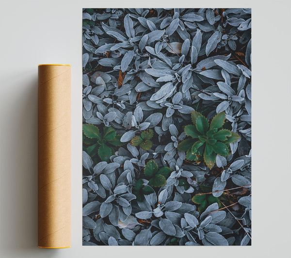 Silver & Green Foliage Print