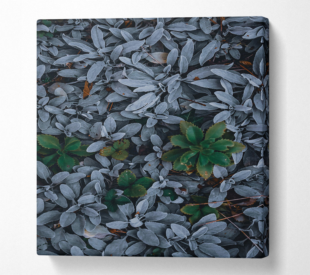  A Canvas Print of Silver & Green Foliage Canvas Wall Art