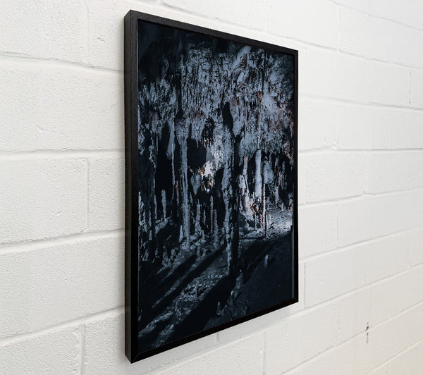 Gray Stalactite Forest
