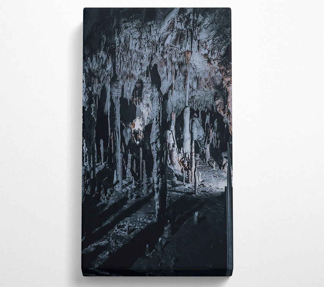  A Canvas Print of Gray Stalactite Forest Canvas Art