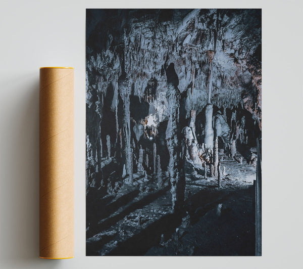 Gray Stalactite Forest Poster