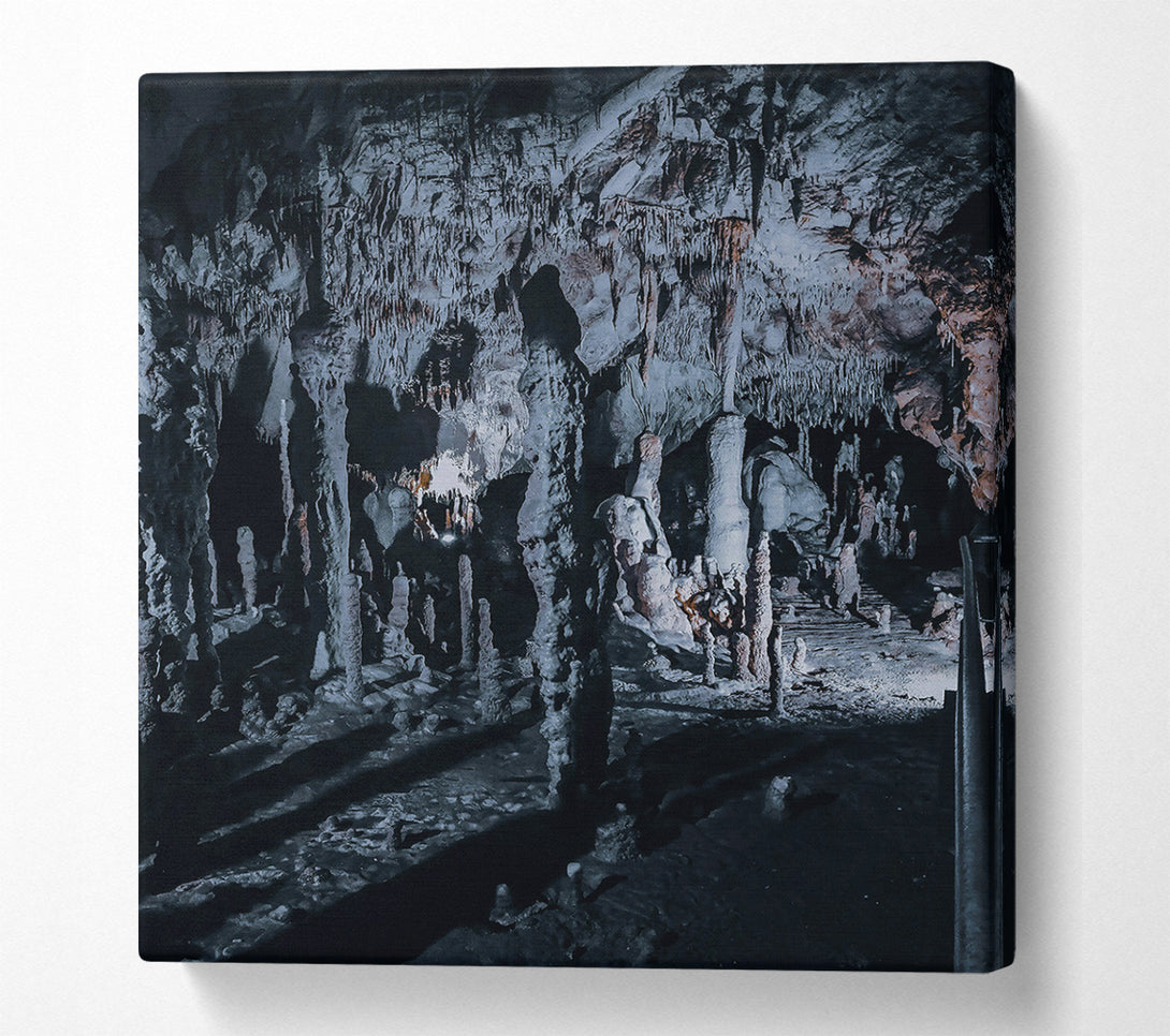 A Canvas Print of Gray Stalactite Forest Canvas Art