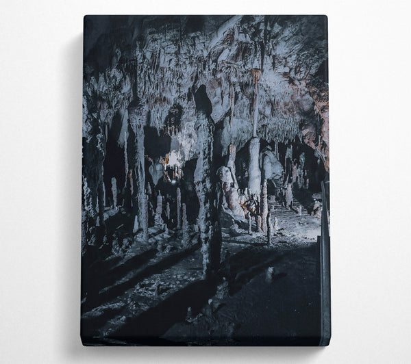  A Canvas Print of Gray Stalactite Forest Canvas Art