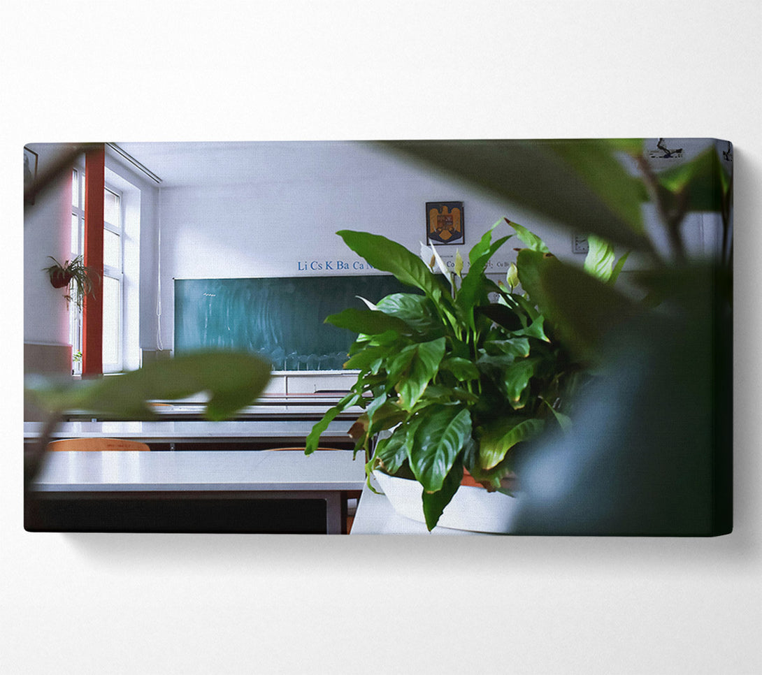  A Canvas Print of Green Classroom View Canvas Wall Art