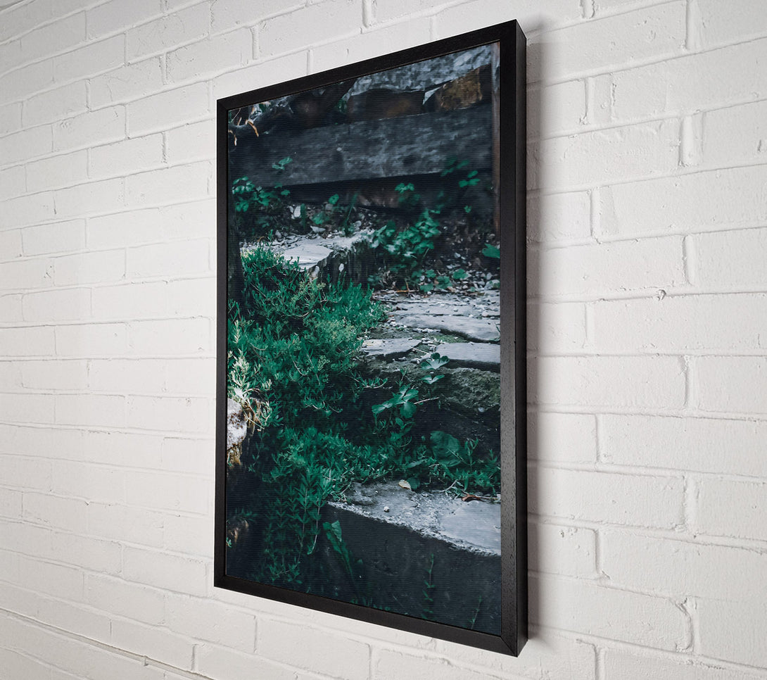  A Canvas Print of Green Stone Steps Canvas Print