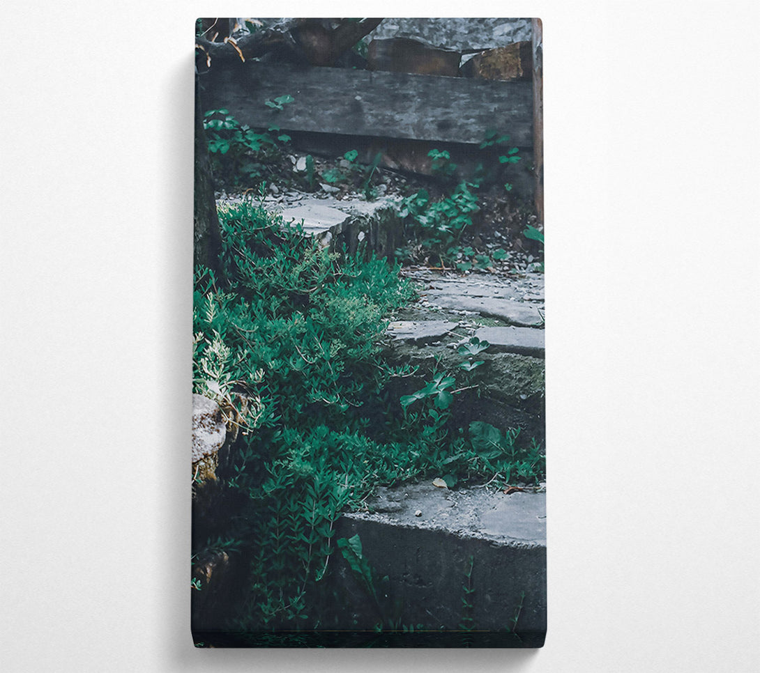  A Canvas Print of Green Stone Steps Canvas Print