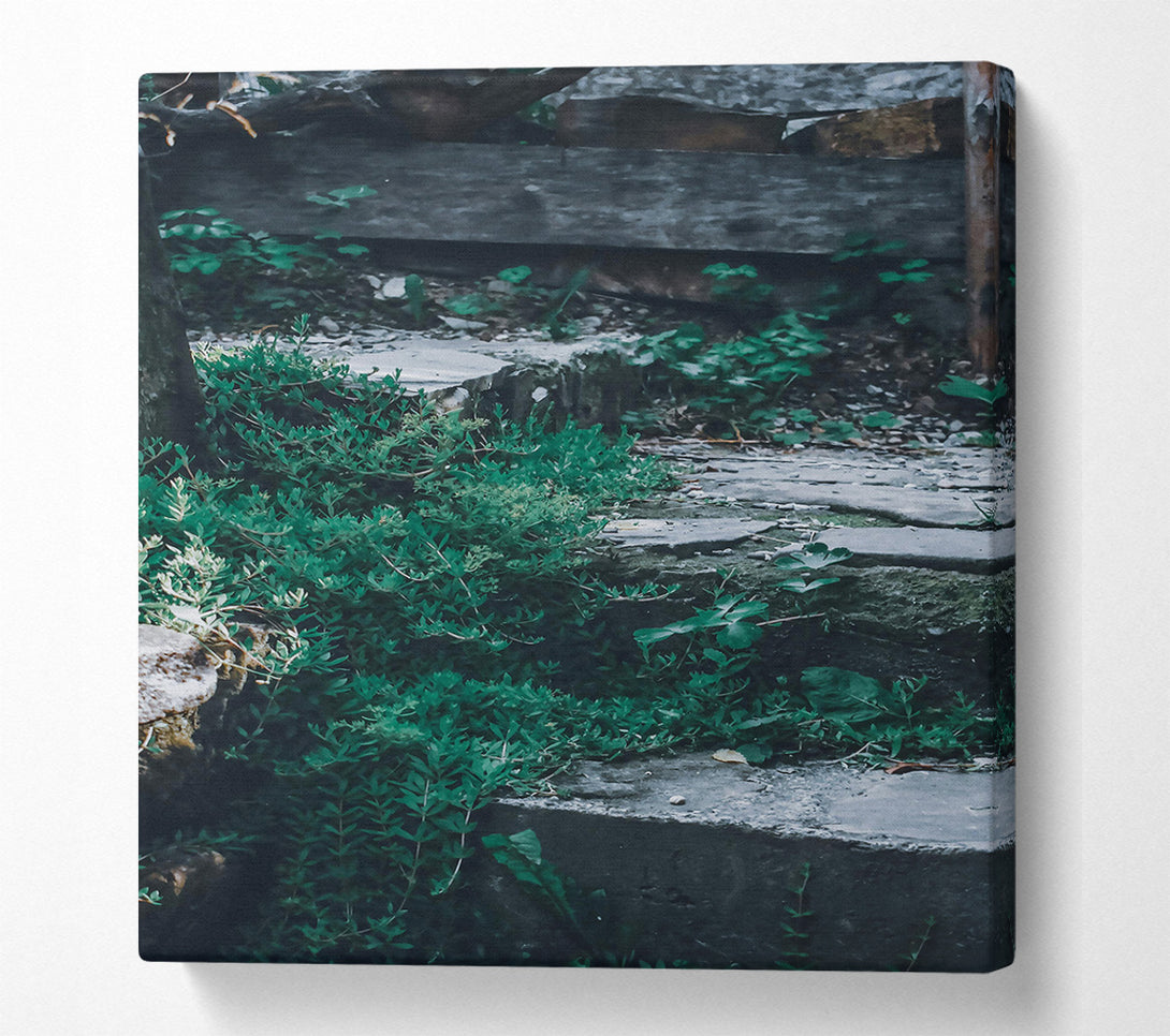  A Canvas Print of Green Stone Steps Canvas Print