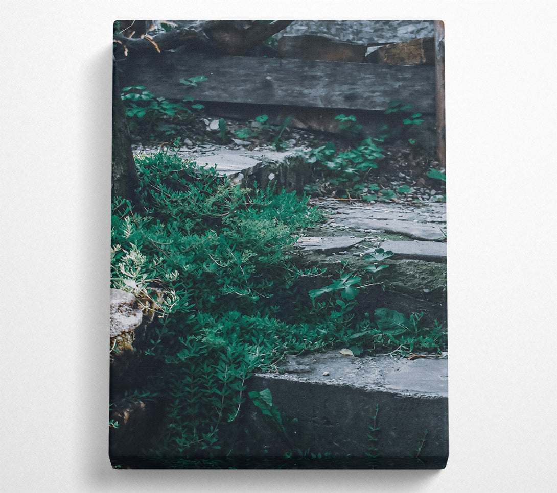  A Canvas Print of Green Stone Steps Canvas Print