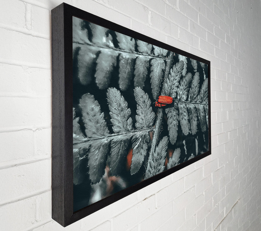  A Canvas Print of Red On Grey Fern Canvas Print