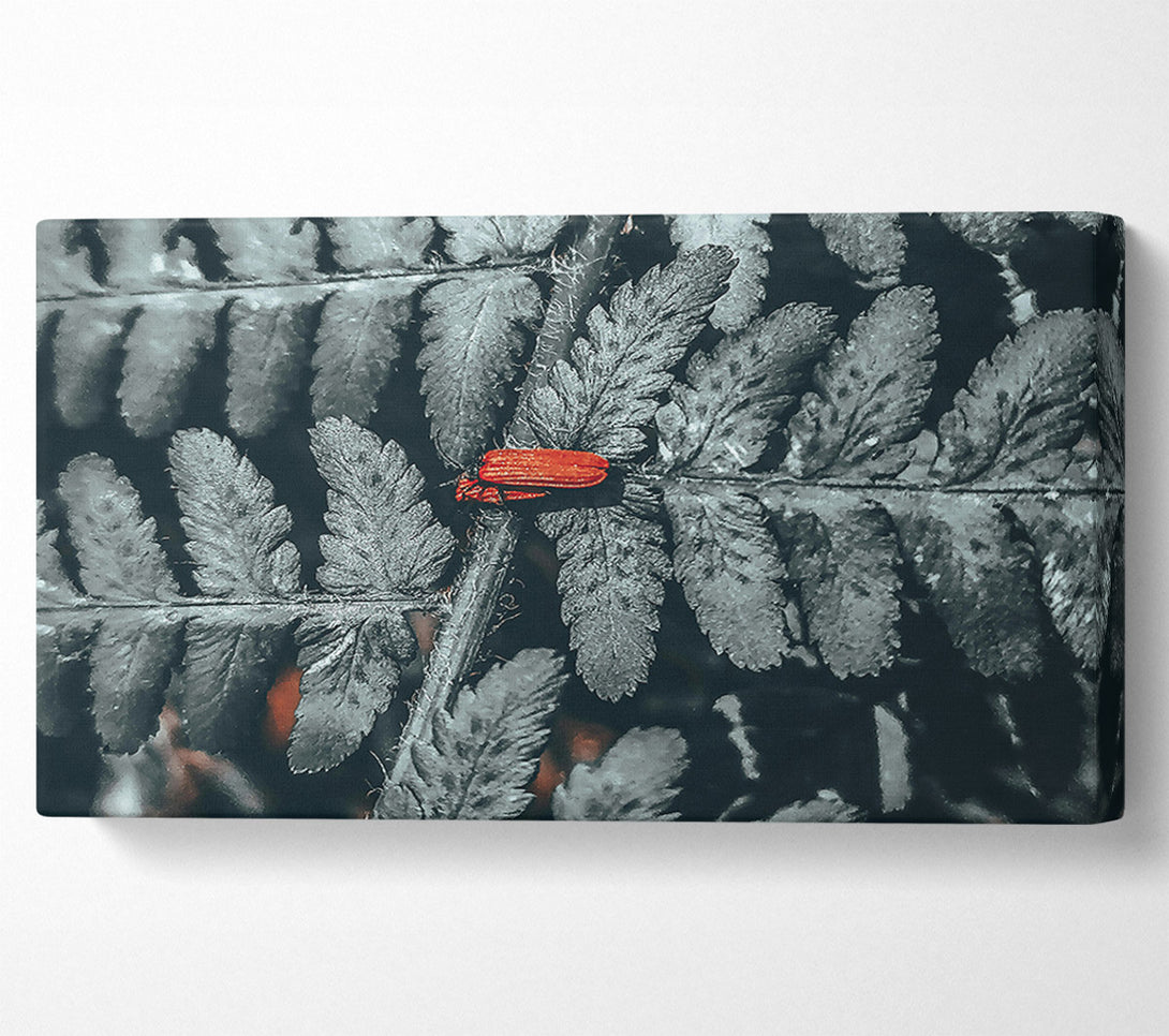  A Canvas Print of Red On Grey Fern Canvas Print