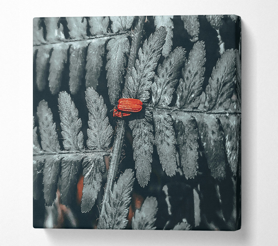  A Canvas Print of Red On Grey Fern Canvas Print