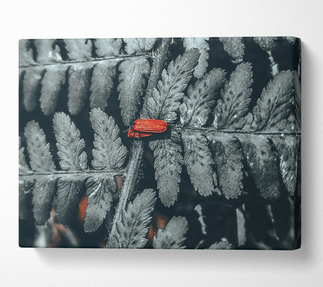  A Canvas Print of Red On Grey Fern Canvas Print