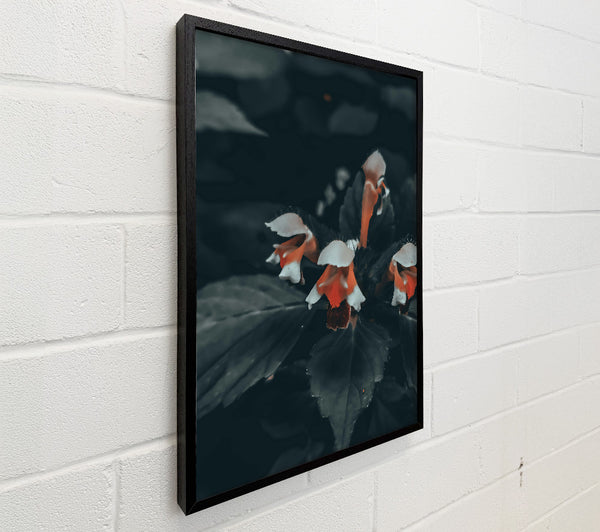 Orange Bloom In Darkness