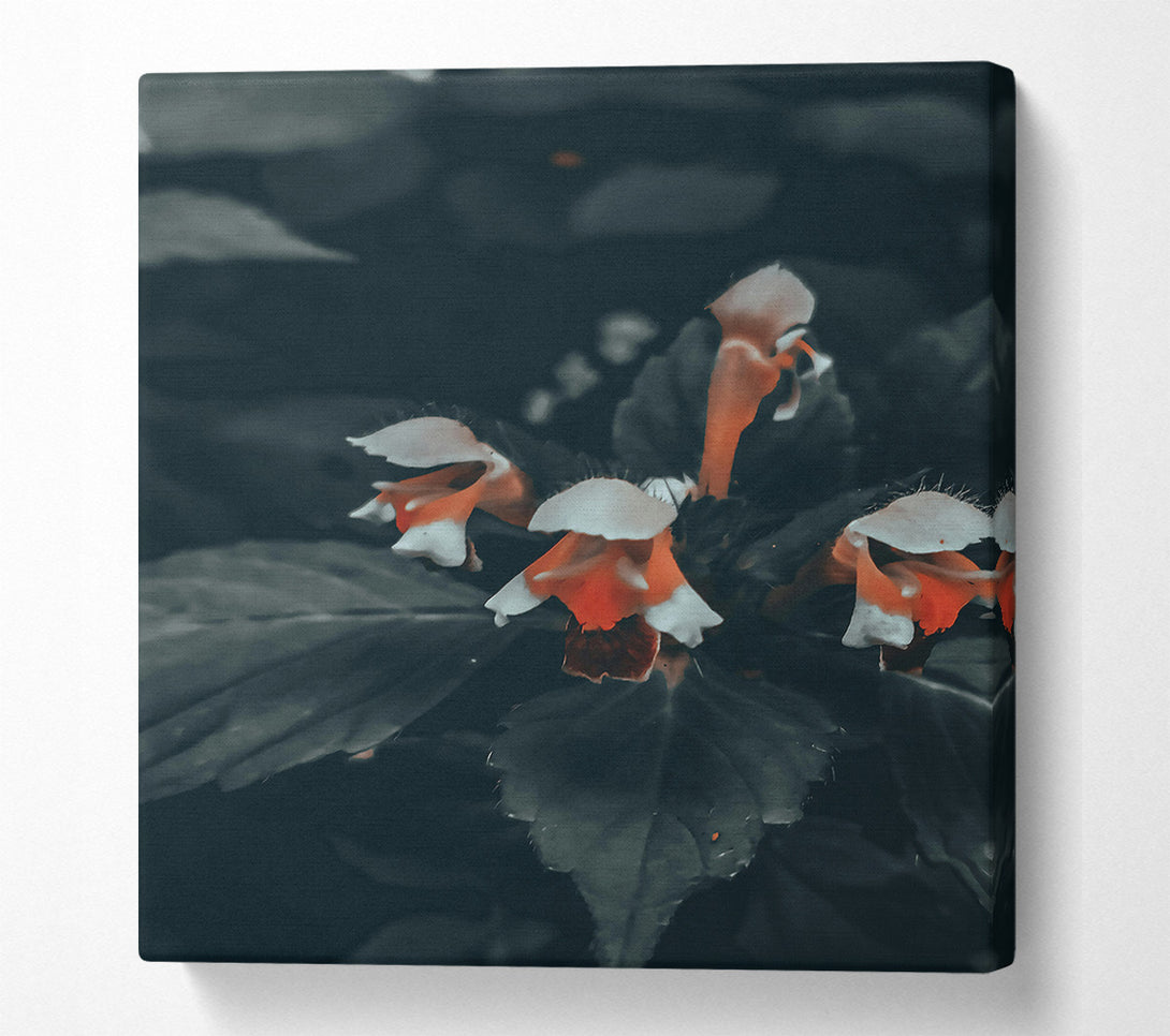  A Canvas Print of Orange Bloom In Darkness Canvas Art