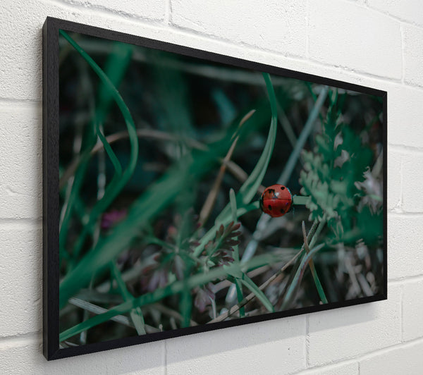 Red In The Green