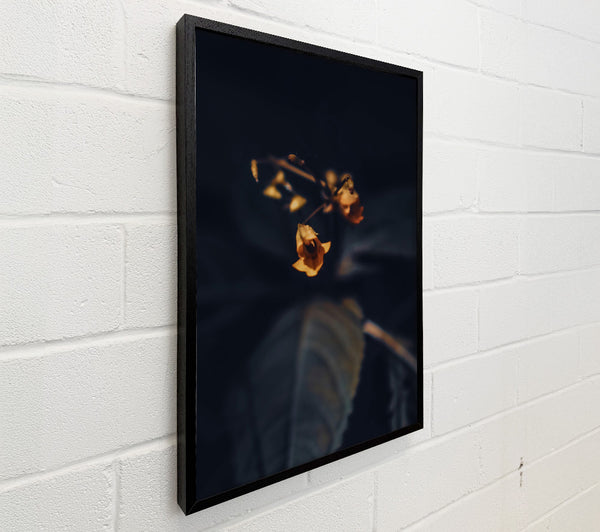 Golden Bloom In Dark